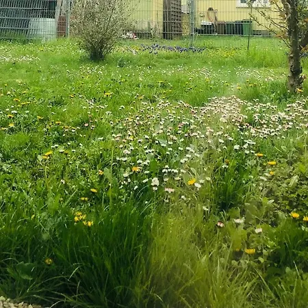 Feldmann Apartamento Freckenfeld