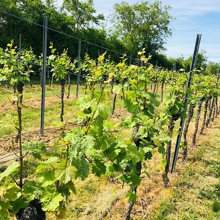 Feldmann Apartamento