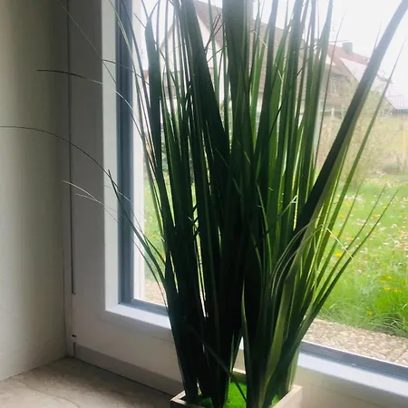 Apartamento Feldmann Freckenfeld