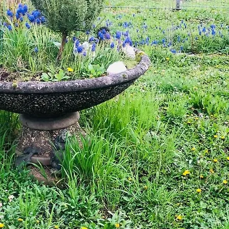 Feldmann Apartamento