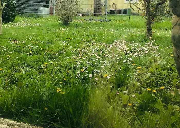 Feldmann 公寓 Freckenfeld